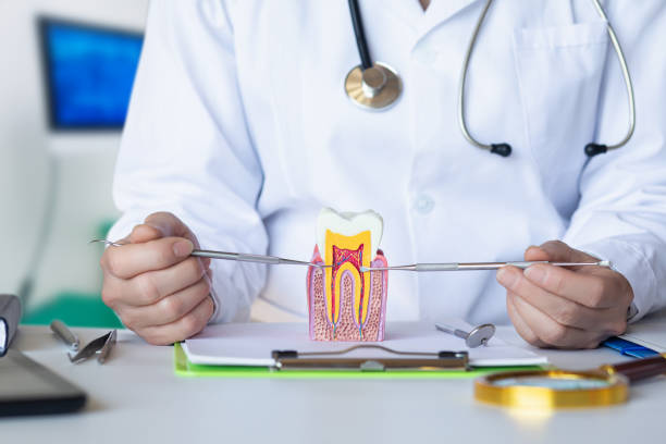 Best Emergency Treatment for Dental Infections or Abscesses in Linn, MO
